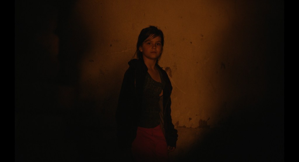[Critique] NINA ROZA de Geneviève Dulude-De Celles - BP Arts Média